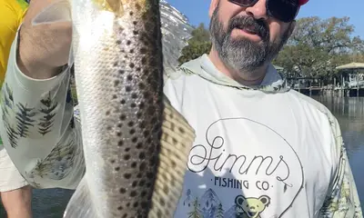 Tampa Report Video 0