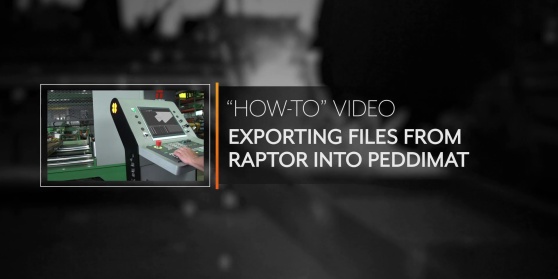 Export Peddimat in Raptor Export Peddimat in Raptor