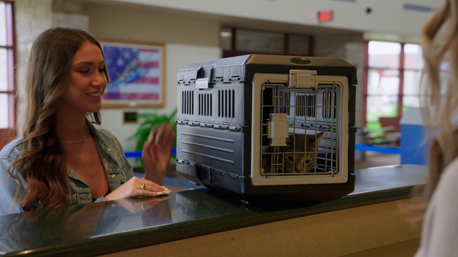 MIRAPET USA Airline Travel Carrier Dog & Cat Crate, Black, Medium