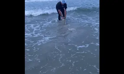 New Smyrna Beach Report Video 0