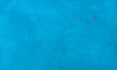 Hidden Gem! 