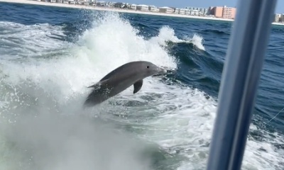 Fishing with family & the crew