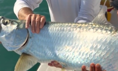 Fajardo Report Video 0