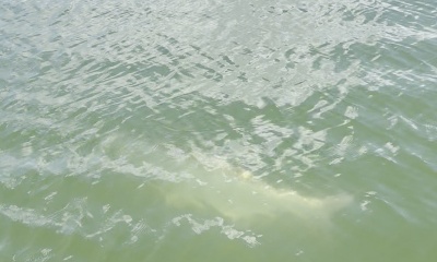 August fishing trip