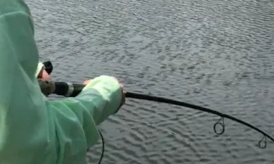 Lake Worth Report Video 0