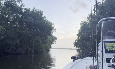 Captain Steve accomodating and knowledgeable 