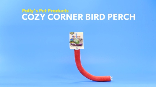 Play Video: Learn More About Polly's Pet Products From Our Team of Experts