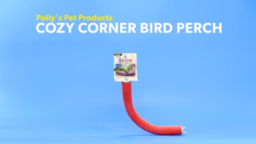 POLLY'S PET PRODUCTS Cozy Corner Bird Perch, Blue, Medium 