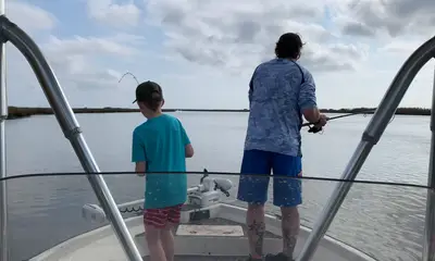 Mandeville Report Video 0