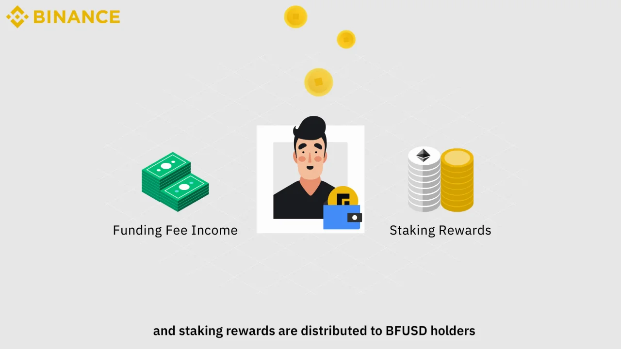 What is BFUSD_EN_Binance Earn