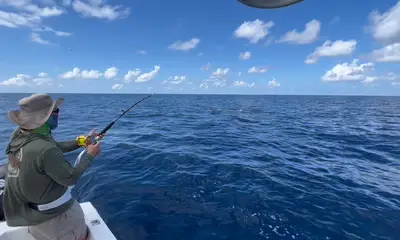 Puerto Jiménez Report Video 0