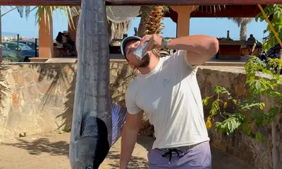 San Jose del Cabo Report Video 0