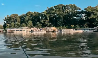 Great trip