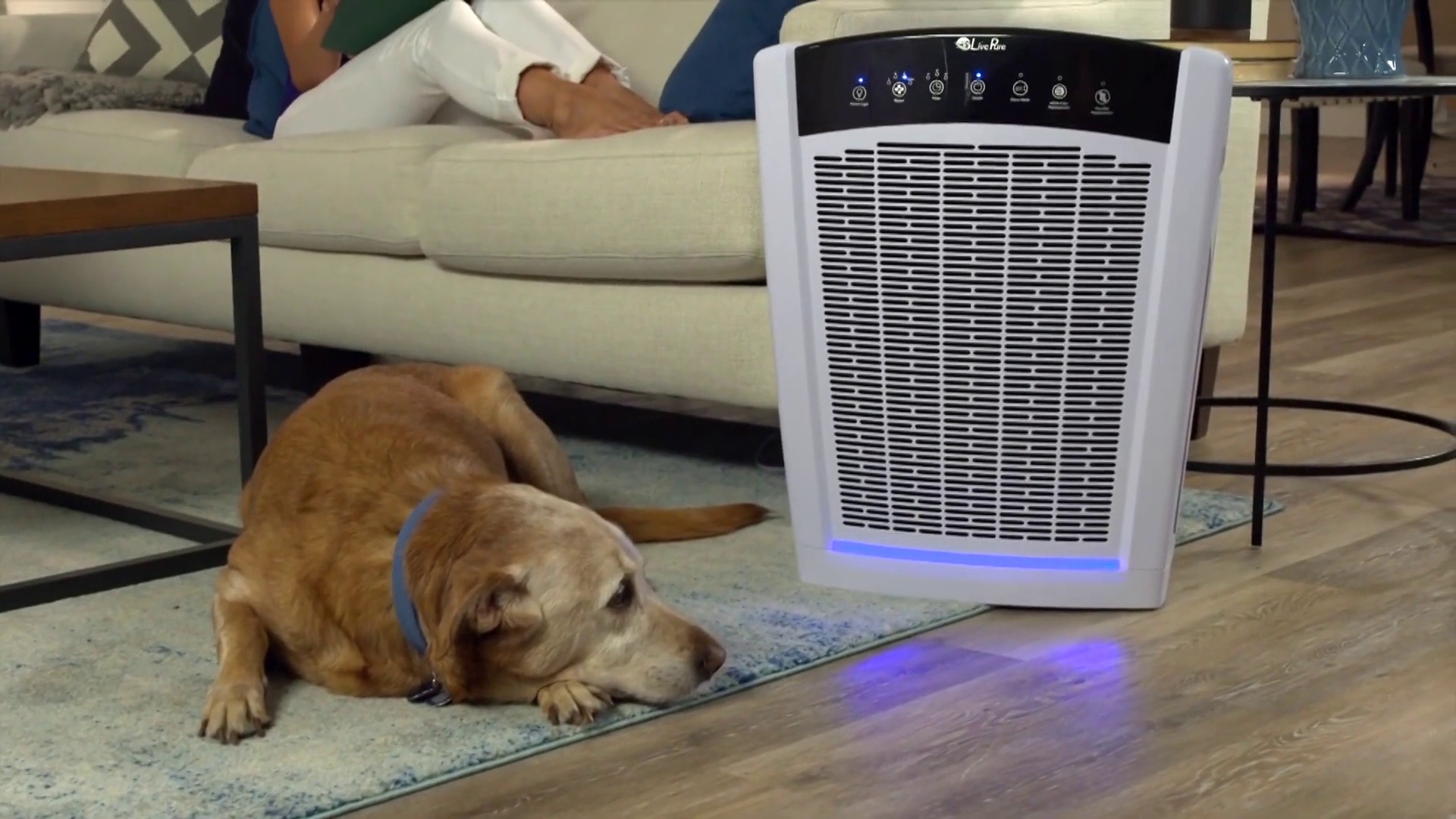 Livepure bali series large online console air purifier