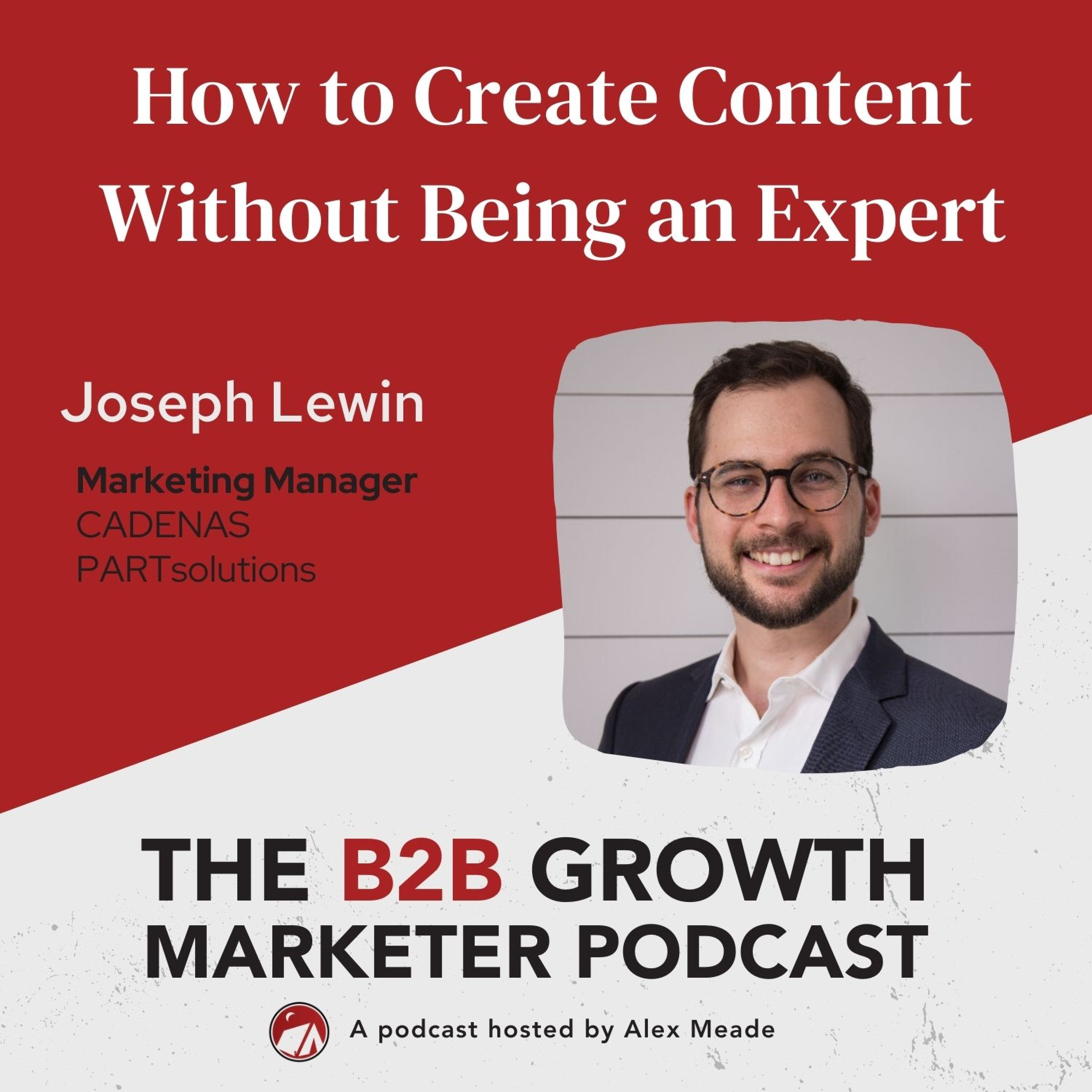 The B2B Growth Marketer