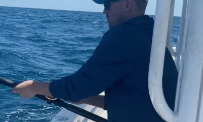 Belleair Bluffs Report Video 0