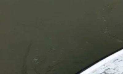 Port O'Connor Report Video 0