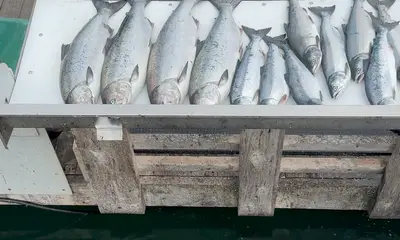 August fishing trip