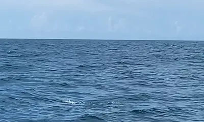 Jacksonville Report Video 2