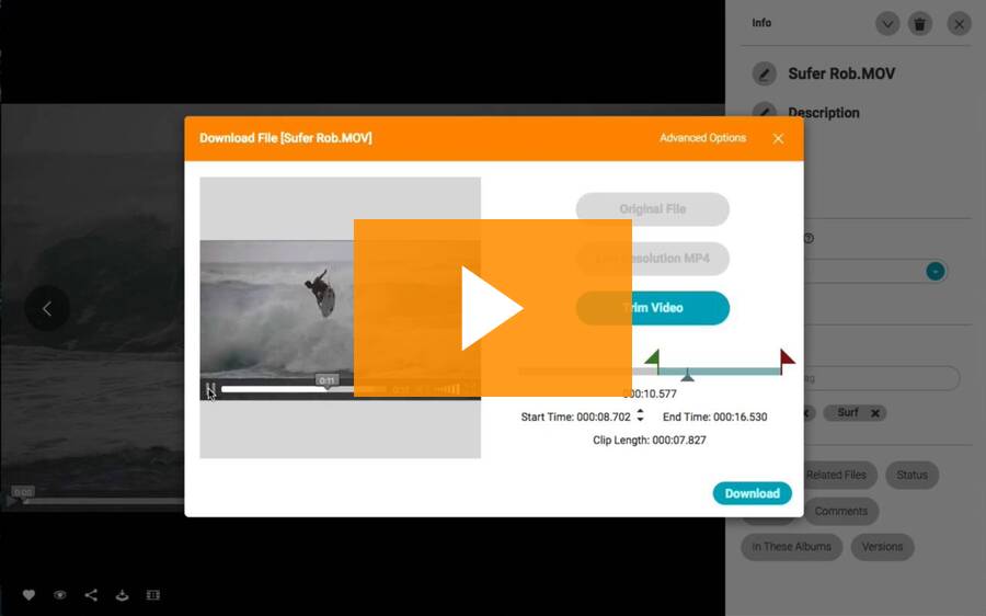 How to trim videos before download in Flight by Canto