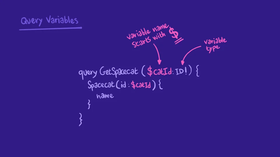 Query building in Apollo Sandbox - GraphQL Tutorials