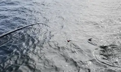 Crawfordville Report Video 0