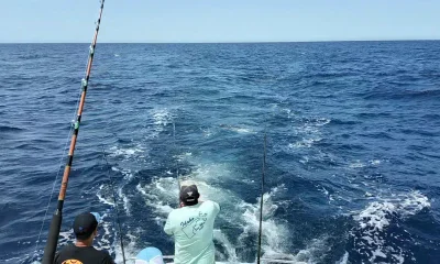 Cabo San Lucas Report Video 1