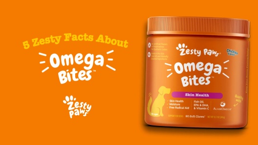 Zesty Paws Omega Bites Skin Health for Dogs Bacon -- 90 Soft Chews -  Vitacost