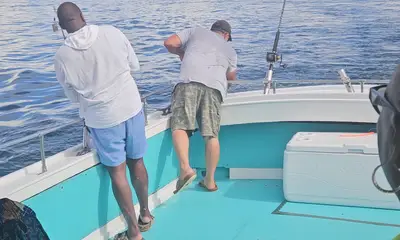 Solomons Report Video 1