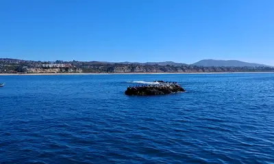 Dana Point Report Video 1