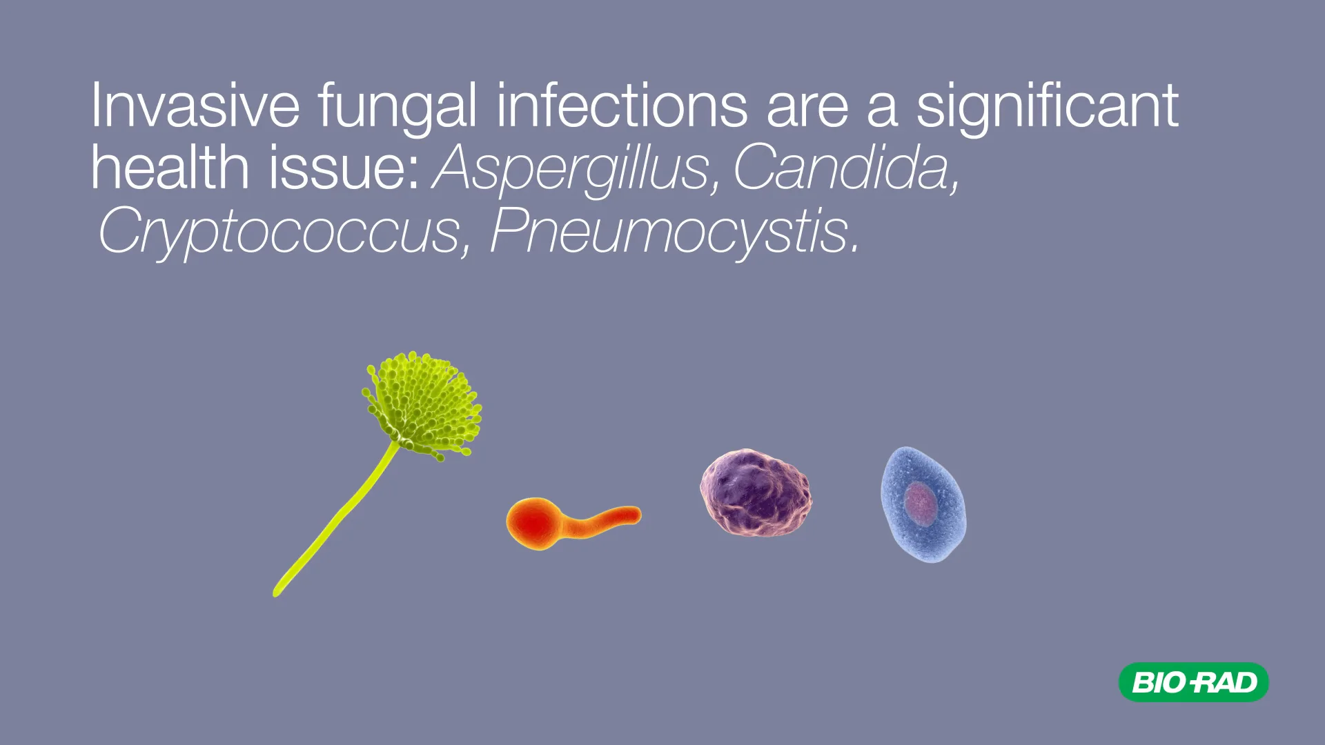 Mycology Range – Bio-Rad’s fungal infection detection assays