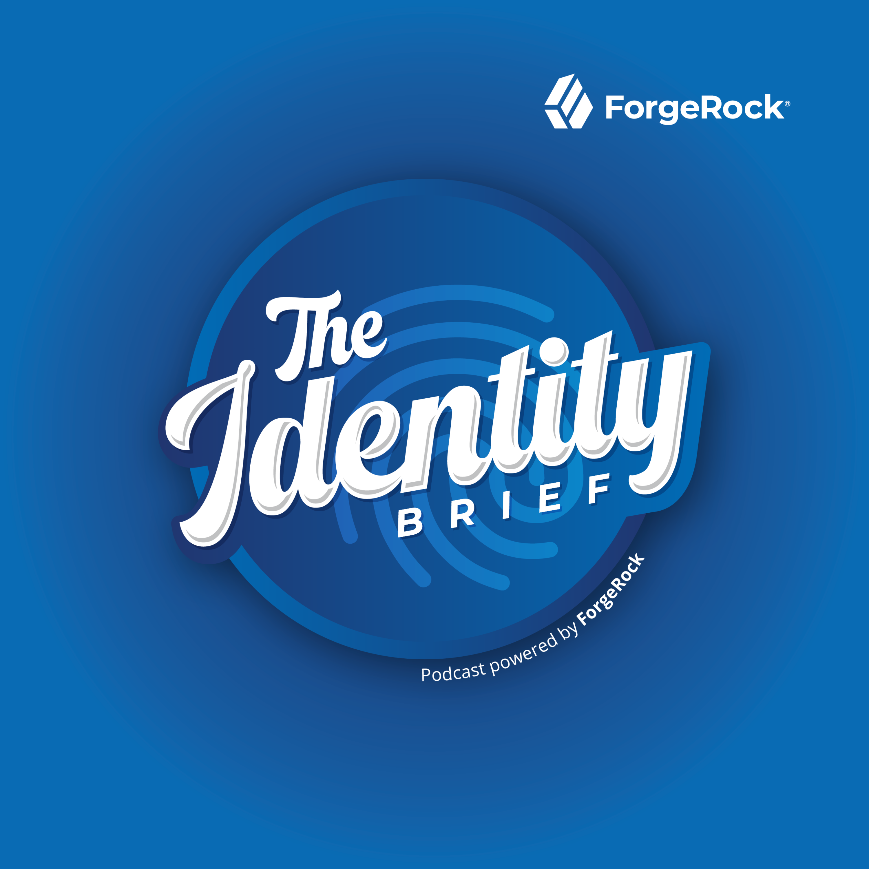 The Identity Brief