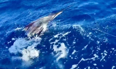 San Juan Видео отчет 0