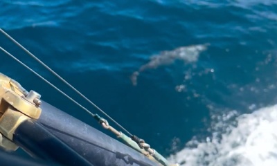 great boat, great people