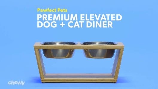 Play Video: Learn More About Pawfect Pets From Our Team of Experts
