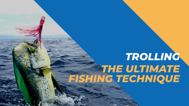 Fisheries story: Fishing techniques - Trolling
