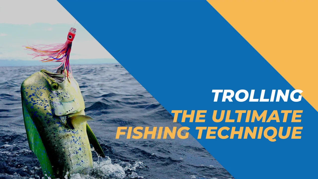 The Ultimate Saltwater Fishing Checklist: What to Bring on Your