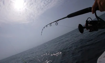 Panama City Report Video 2