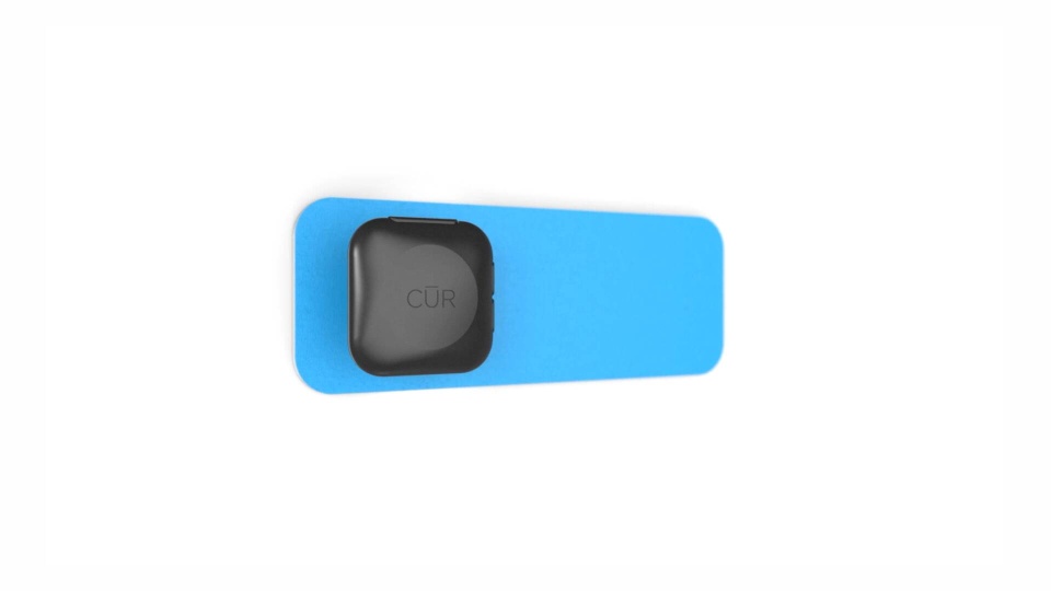 Cur - Customer Success Story