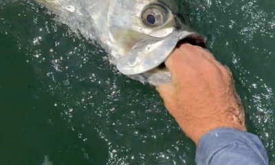 Jacksonville Report Video 0