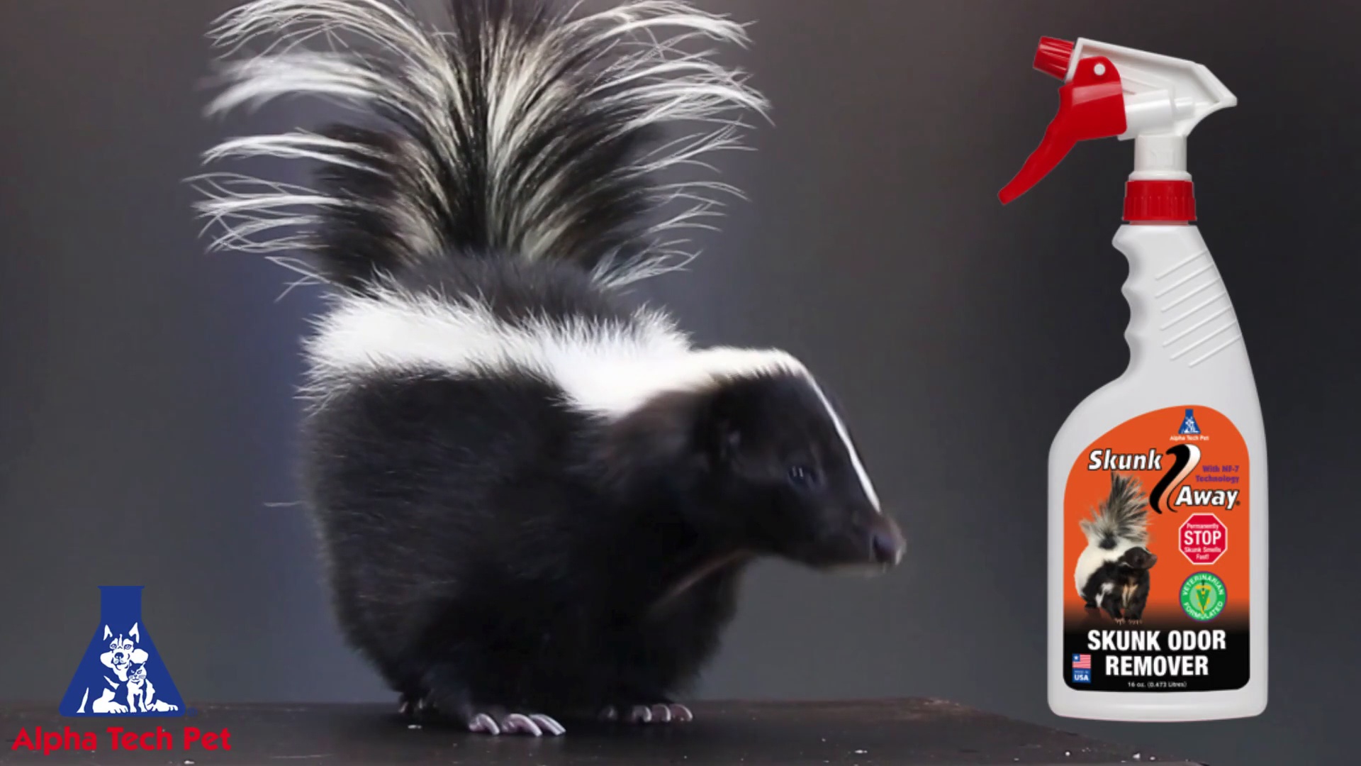 best skunk remover