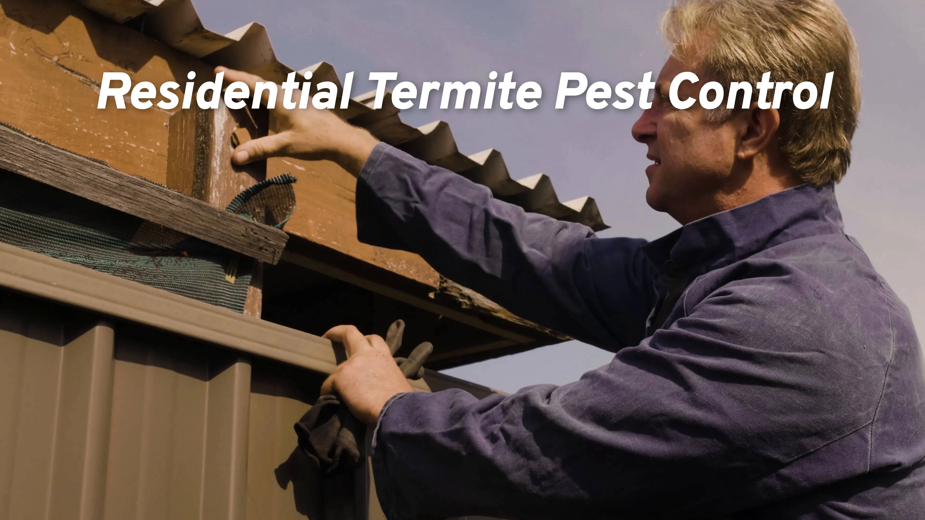 Pest Control Sydney - Syd Termite & Pest Control Services Sydney Wide