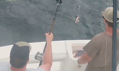Orange Beach Report Video 0