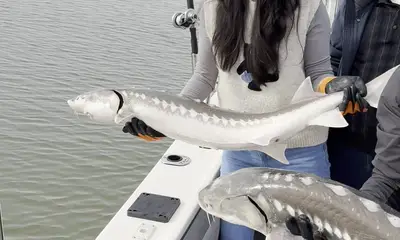 Pacific Coast Report Video 2