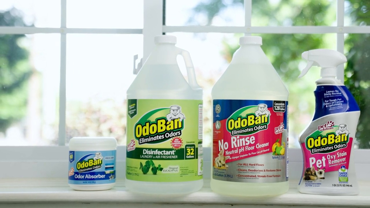 Odoban for dog outlet urine