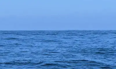 Great Trip on a Foggy Day