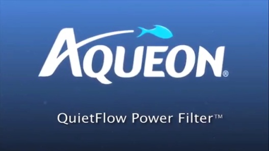 Play Video: Learn More About Aqueon From Our Team of Experts