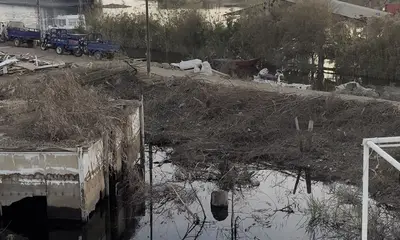 Nile Perch Adventure