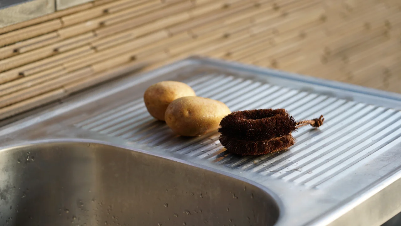 BRUSH/ Hand/ Dish and Sink 8, each