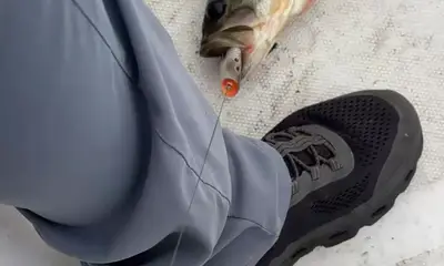 South Florida Report Video 2